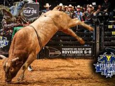Music City’de Nefes Kesen Anlar: PBR Nashville’in En Sert ve Tehlikeli Düşüşleri! Arenada Adrenalin Tavan Yaptı