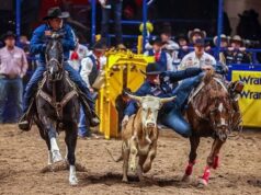 Cash Robb NFR Yolunda! Boğa Devirme Sporunda Zirveyi Hedefliyor Cash Robb NFR Yolunda! Boğa Devirme Sporunda Zirveyi Hedefliyor